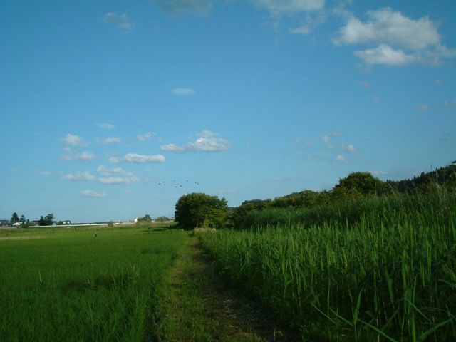 ����ڂ̂ւ�@�ʐ^