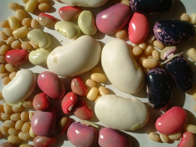 ��������@�ʐ^