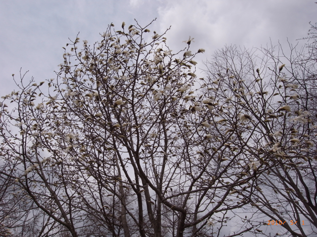 ���Ԃ��@�ʐ^