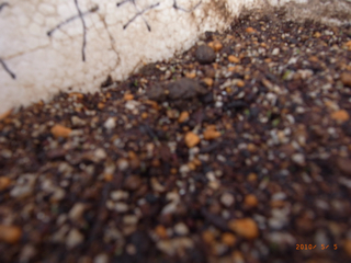 5��5�����Ȃ��щ�������@�ʐ^