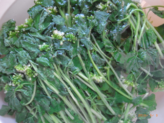 �t���T�r�@�ʐ^