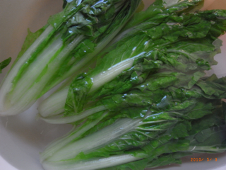 �Ȃ��ρ@�ʐ^