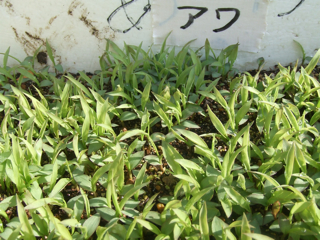 5��17���A���@�ʐ^