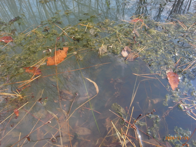 �r�@11��26���@�ʐ^