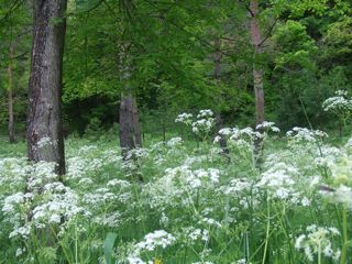 �r�@11��26���@�ʐ^