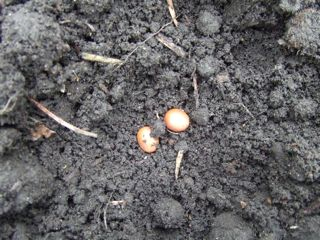 �`���}���@�ʐ^