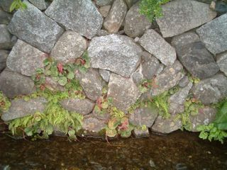 ����ۓ��@�ʐ^