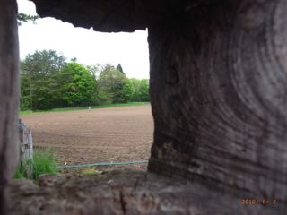 ������@�ʐ^