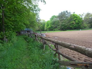 �ނ����@�ʐ^