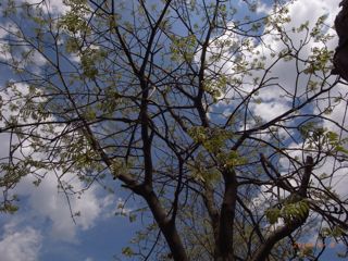 �������@�ʐ^