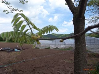 �Ƃ����@�ʐ^