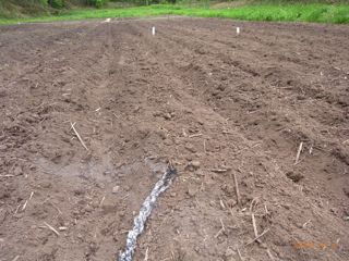 �������@�ʐ^