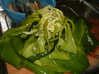 ������ԁ@�ʐ^