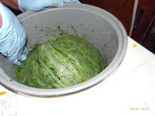 �܂���@�ʐ^