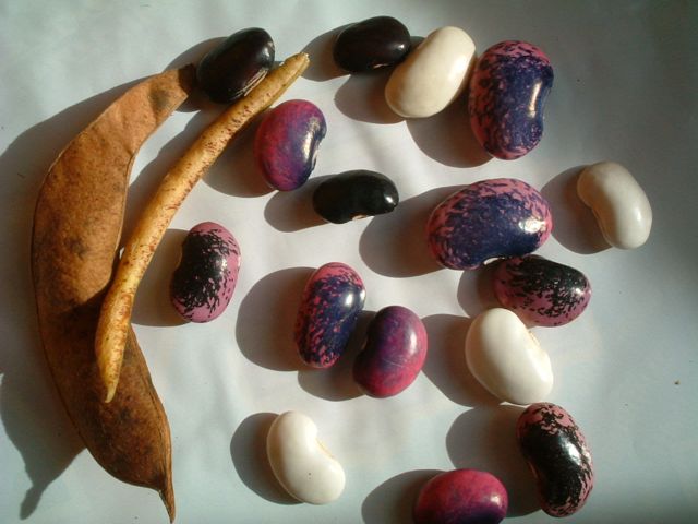 �ԓ�����@�ʐ^