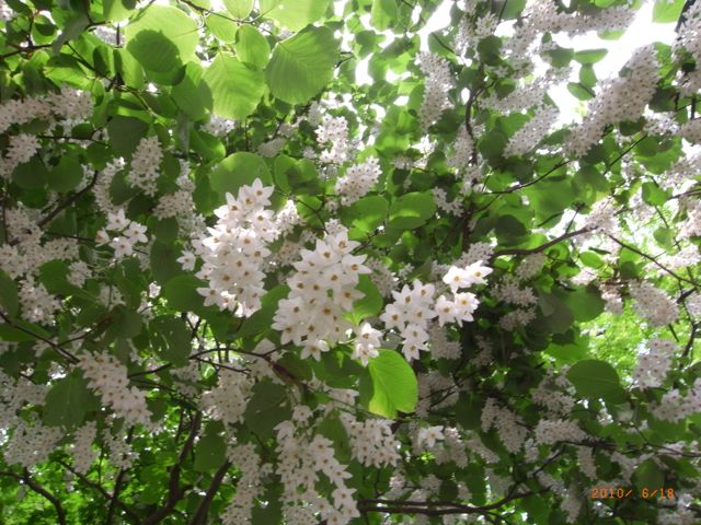 ���_�؁@�ʐ^