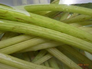 �ӂ��ς��́@�ʐ^