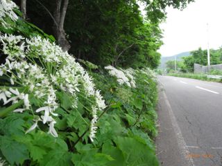 �����@�ʐ^