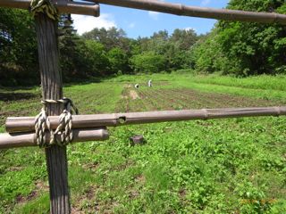 �����@�ʐ^