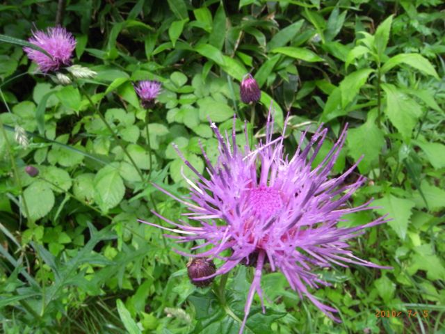 �����݁@�ʐ^