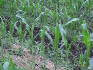 �������с@�ʐ^