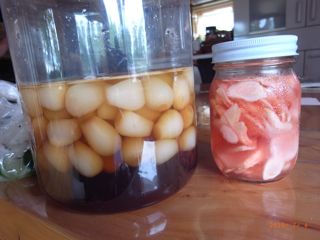 ������傤�@�ʐ^