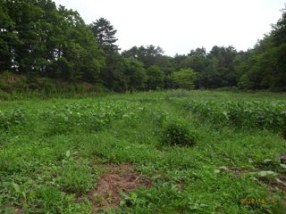 ���ځ[�ڂ��@�ʐ^