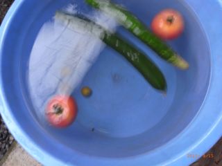 �g�}�g�@�ʐ^