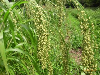 8:20�����@�ʐ^