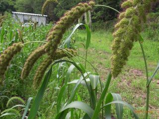 ����8:20�@�ʐ^