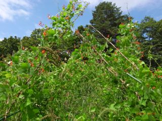 �ԓ�8:20�@�ʐ^