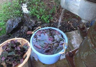 �����ۂ�Ձ@�ʐ^