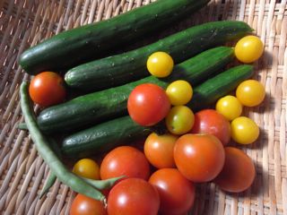 �Ƃ܂��イ�@�ʐ^