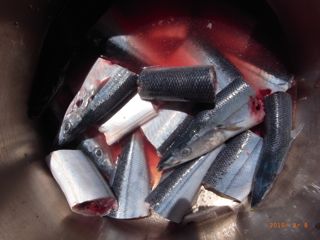 ����܁@�ʐ^