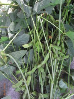 ���}���@�ʐ^