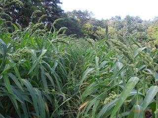 �q�G9/10�@�ʐ^