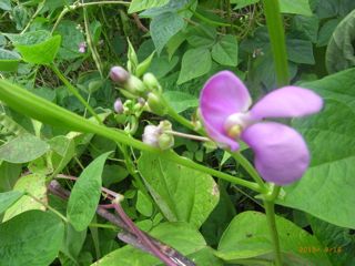 �����瓤�@�ʐ^