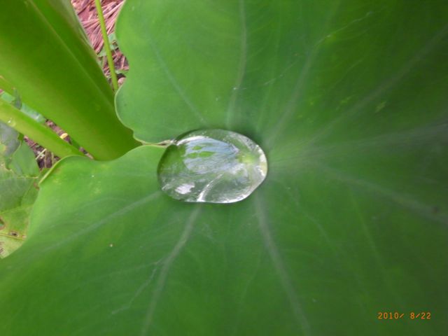 ���Ƃ����@�ʐ^