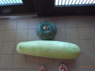 ���ڂƂ䂤�@�ʐ^