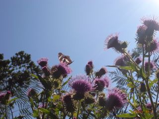 �I�I�~�X�W�@�ʐ^