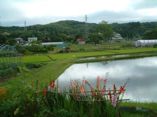 �c���@�ʐ^