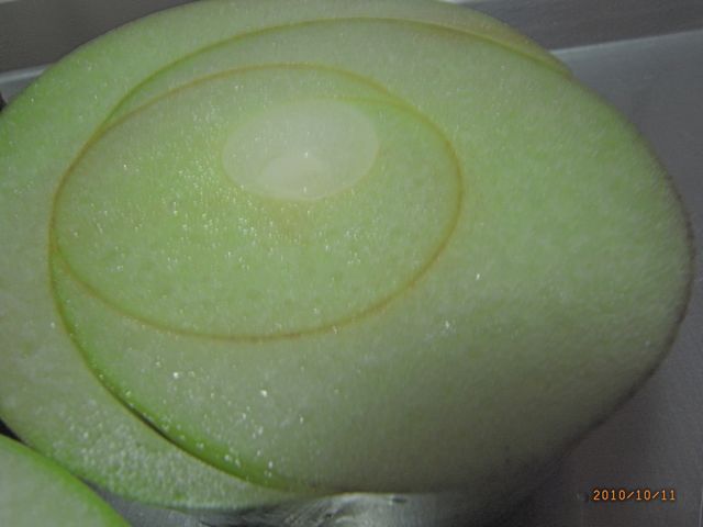 �T�g�Q�@�ʐ^