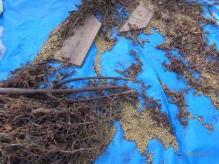 ��10/19�E2�@�ʐ^