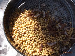 ��ӂ邢�@�ʐ^