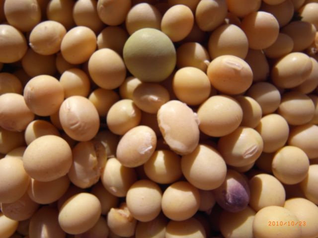 ���A�b�v�@�ʐ^