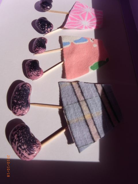 �ԓ��s�i�@�ʐ^