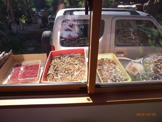 �����@�ʐ^