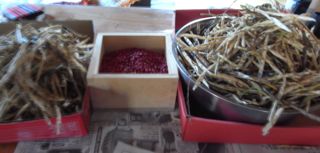 ����������@�ʐ^