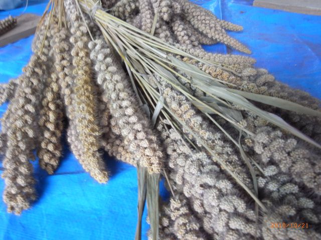 ���킽�����@�ʐ^