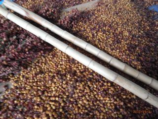 ����������2�@�ʐ^